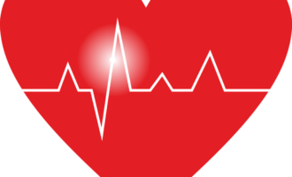 Srdečně-cévním onemocněním ročně podléhá přes 18 milionů lidí